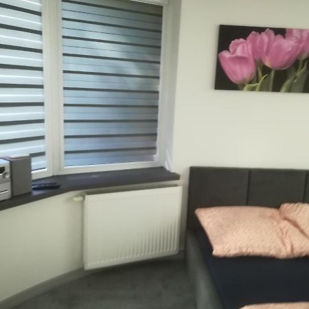 Apartament Viktoria Ełk Zewnętrze zdjęcie