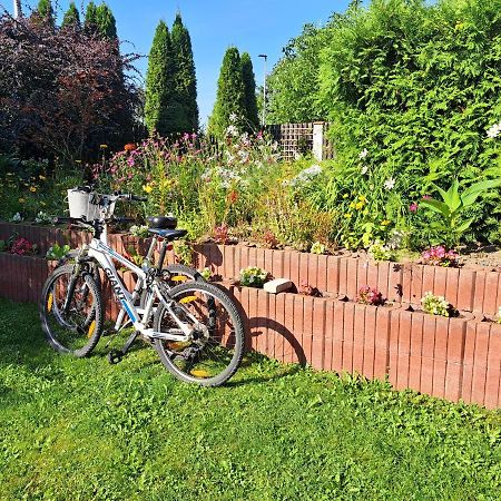 Apartament Viktoria Ełk Zewnętrze zdjęcie