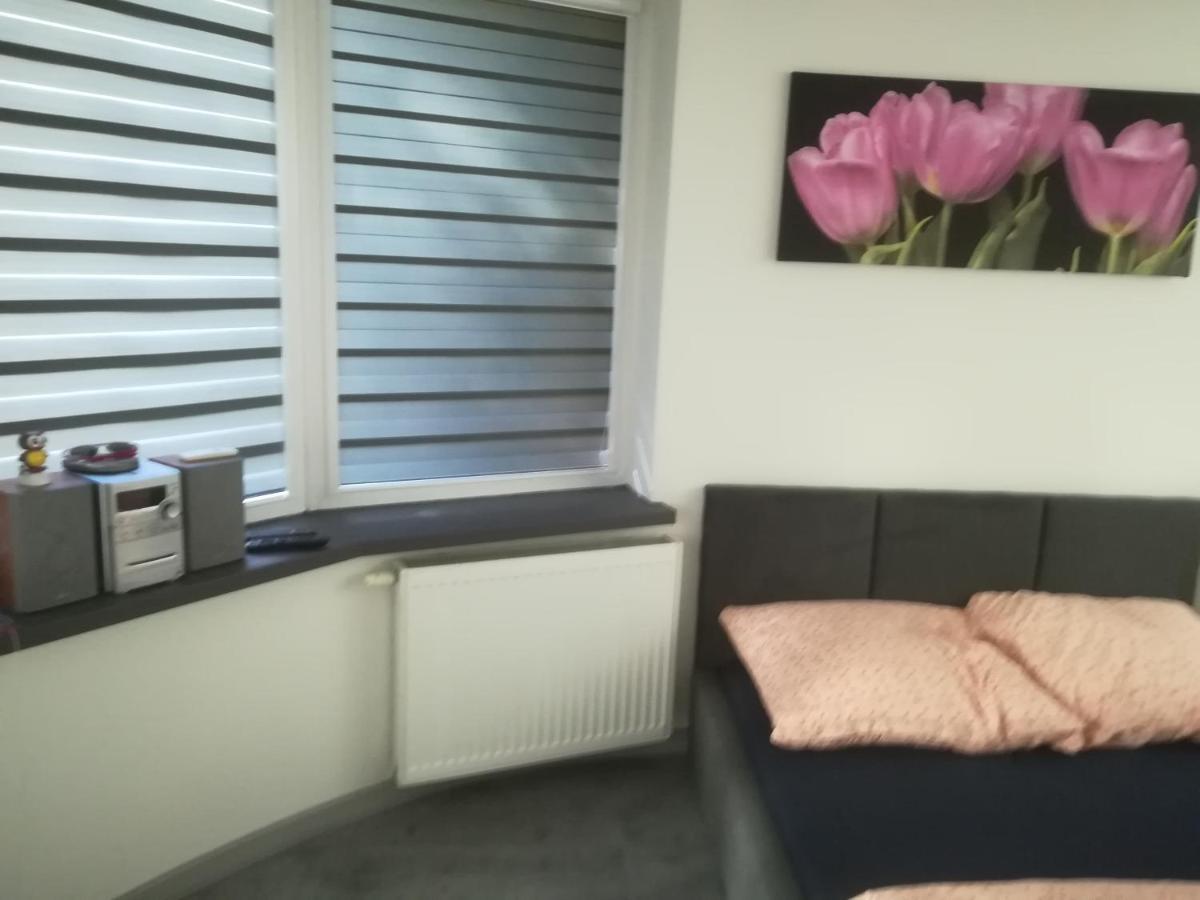 Apartament Viktoria Ełk Zewnętrze zdjęcie