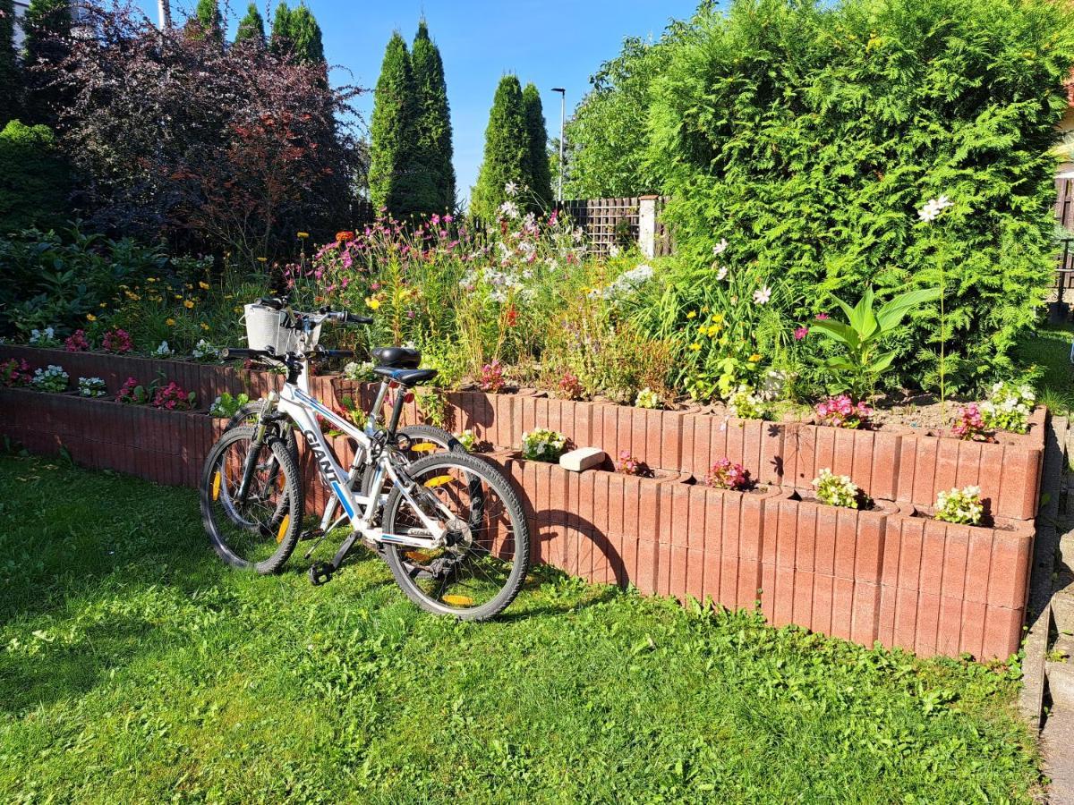 Apartament Viktoria Ełk Zewnętrze zdjęcie